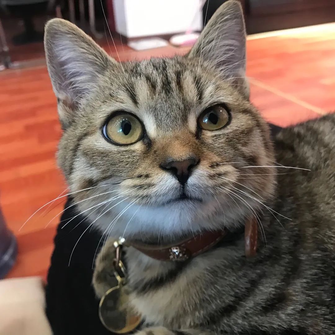 DƬ